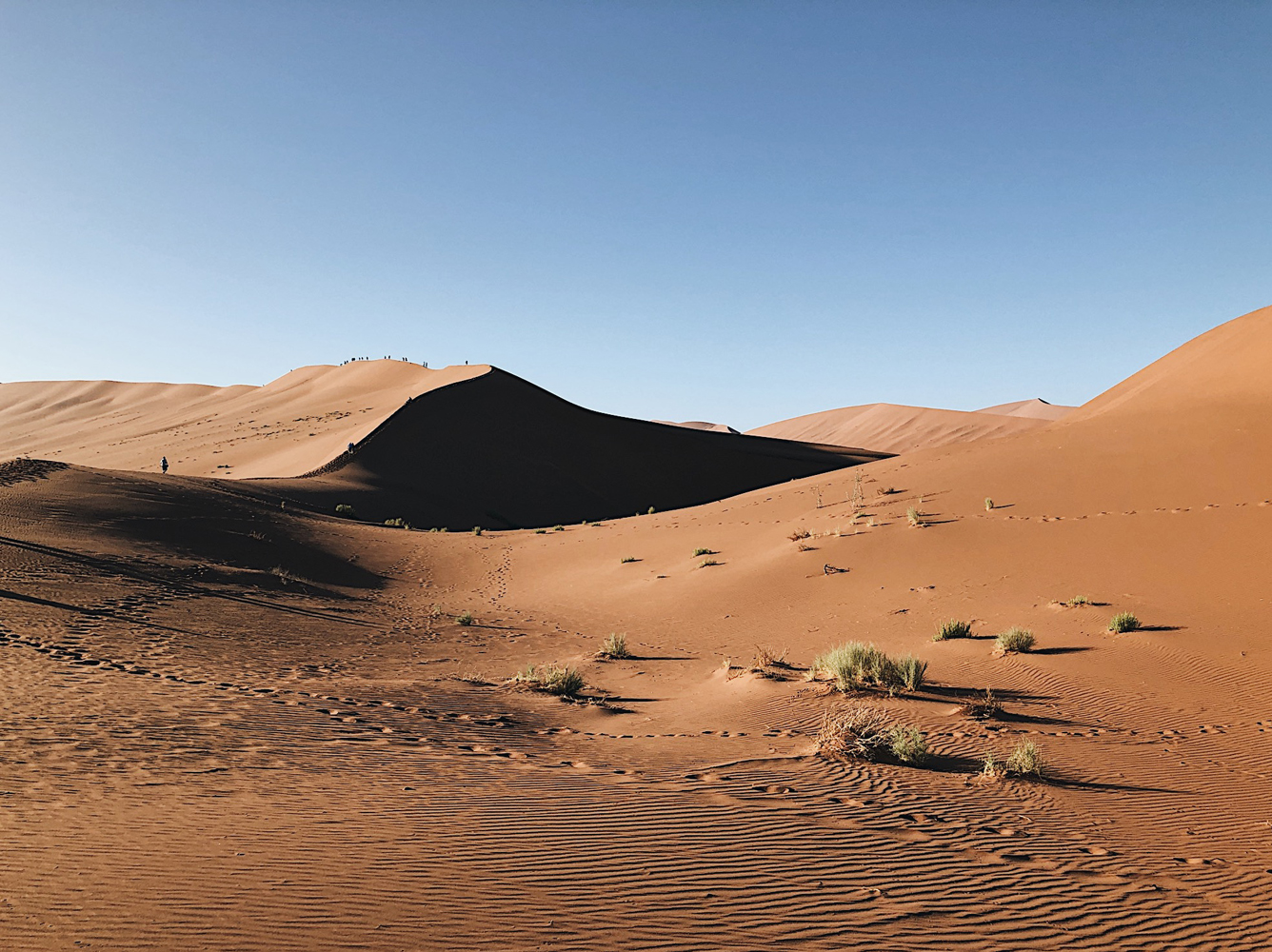 Namib